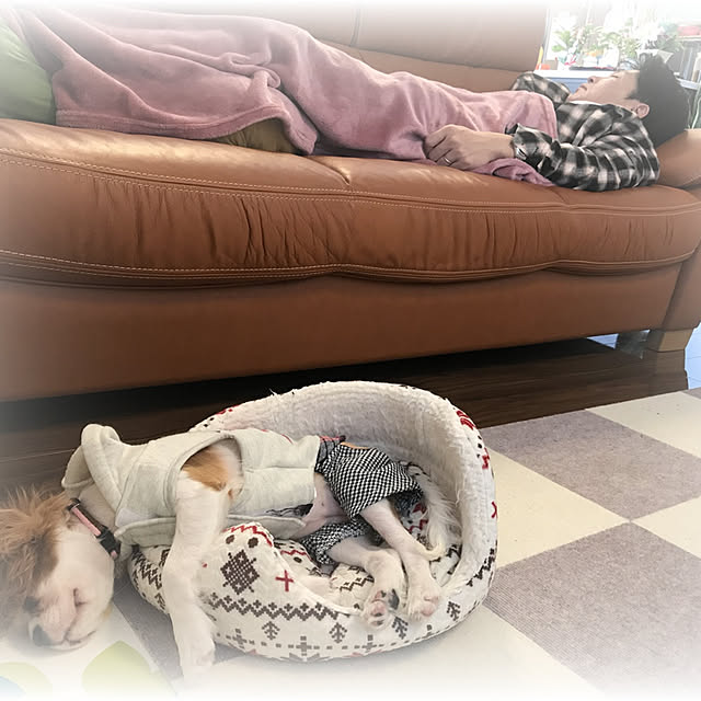 Ran.Happyさんの実例写真