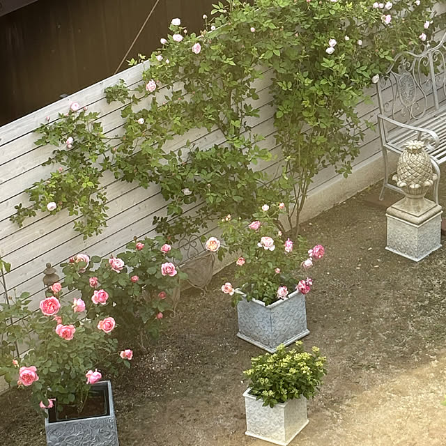 choさんの実例写真