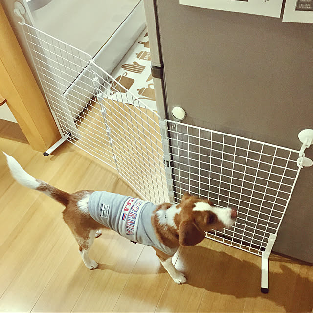 goro_wanさんの実例写真