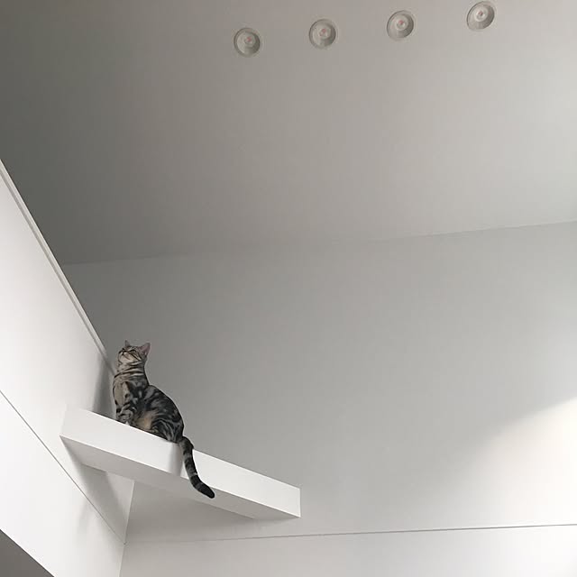maripoさんの実例写真