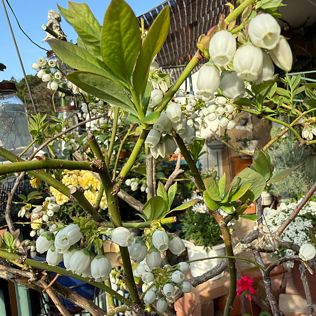 Aqettyさんの部屋