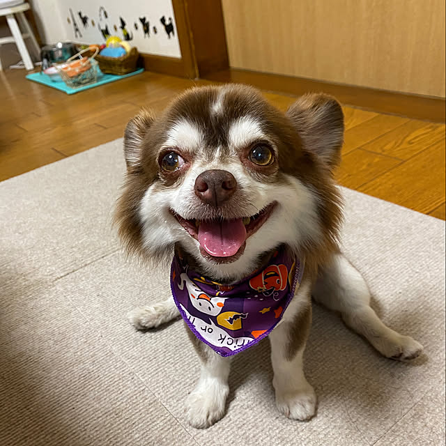 chIoeさんの部屋