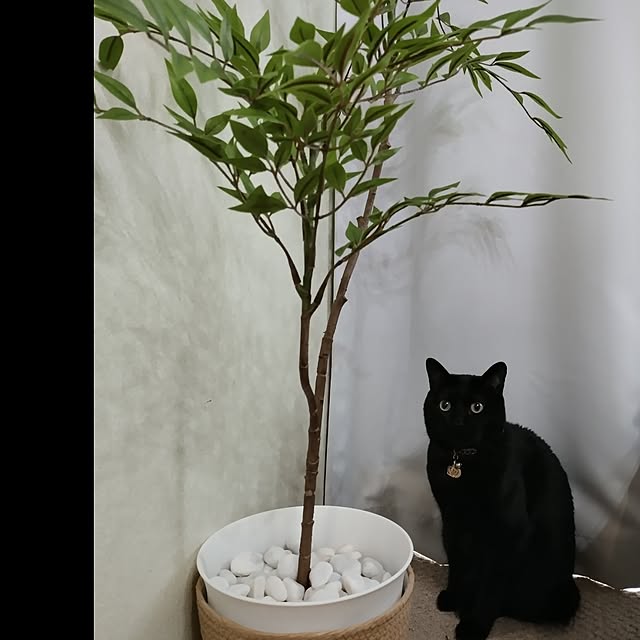 Tさんの実例写真