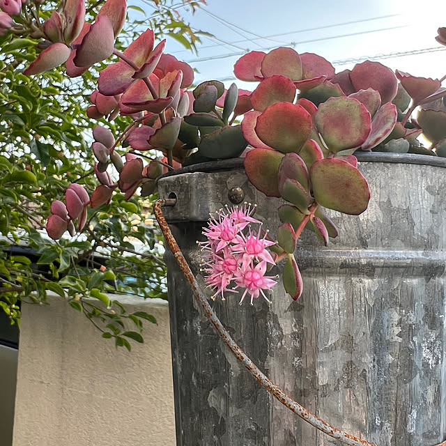 milkmanamaさんの実例写真