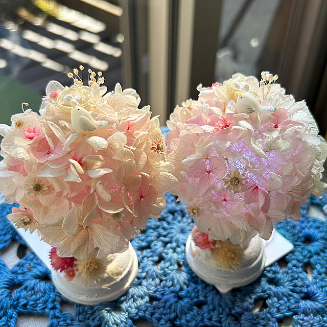 portulacaさんの実例写真