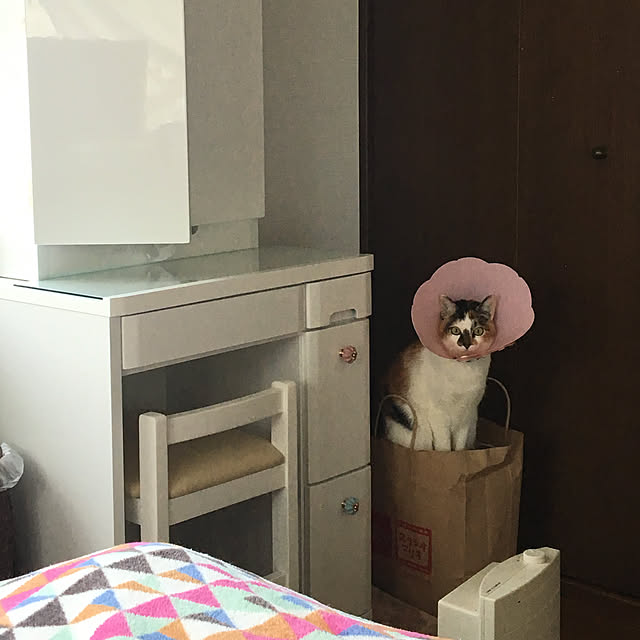 bbb.さんの実例写真