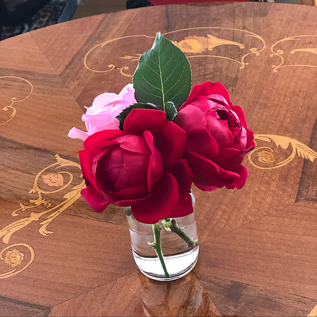 薔薇/薔薇のある庭/ガーデニング/花壇/薔薇の庭をめざして...などのインテリア実例 - 2019-11-16 11:23:20