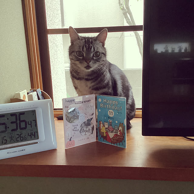 richanさんの実例写真