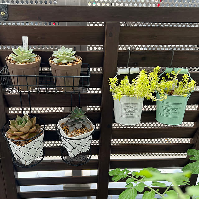 Miwaさんの部屋