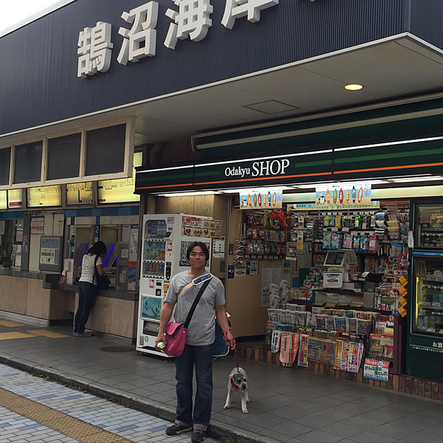 実例写真