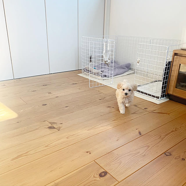 kana_homeさんの実例写真