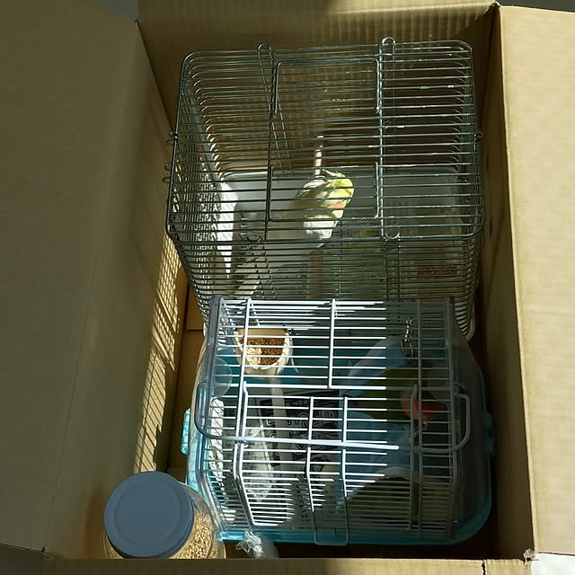 toratanさんの部屋