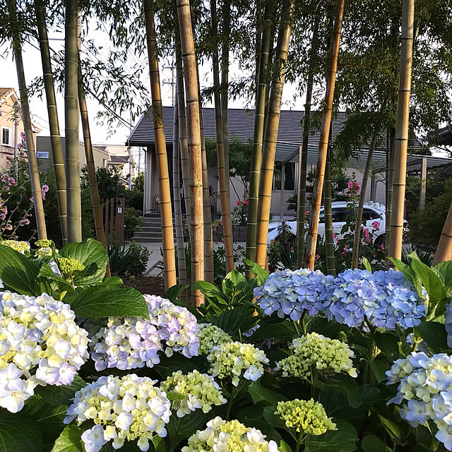 houenさんの部屋