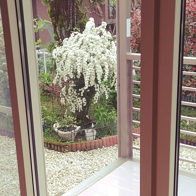 tsutawarimasuさんの実例写真