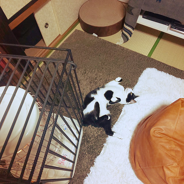 oseroさんの実例写真
