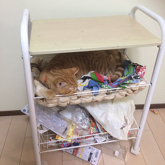 nekoさんの実例写真
