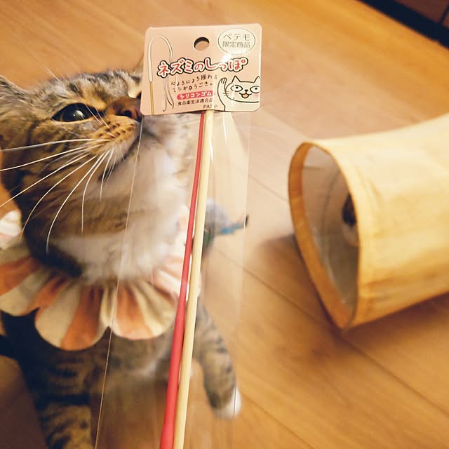 mochicoさんの実例写真