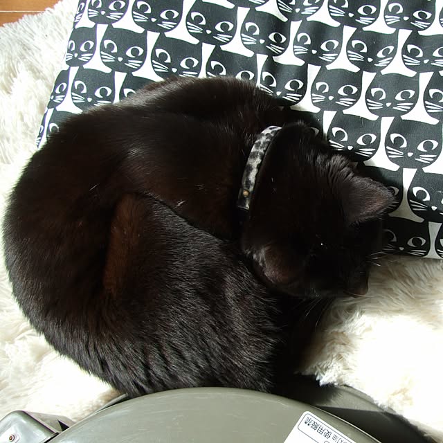 nekotamakoさんの実例写真