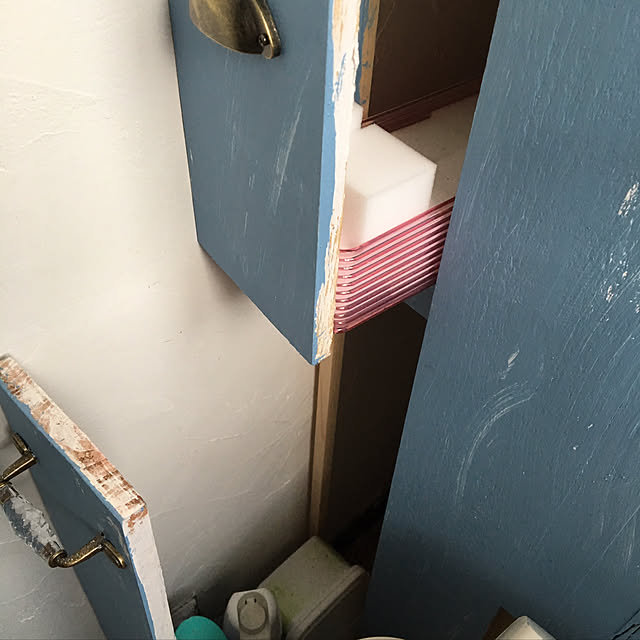 dainaoreiさんの実例写真