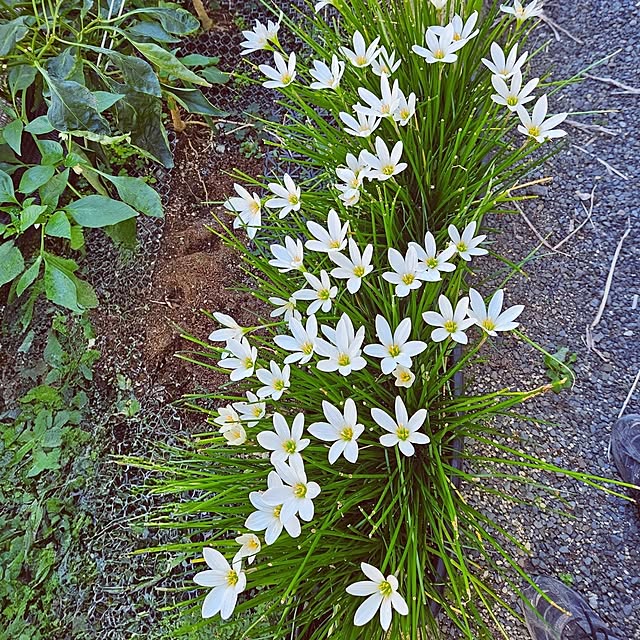 mocomocoさんの部屋