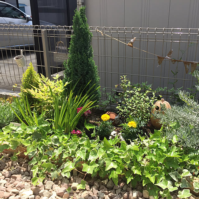 tomomiさんの部屋