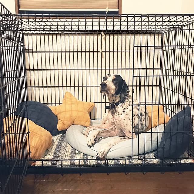 Minnie様専用】トムキャット トムクレイト5000 網スノコ5000付