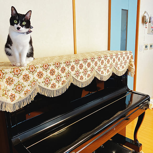 moolさんの実例写真