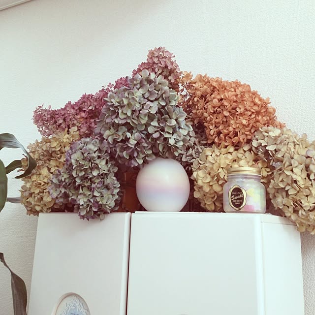 ayaさんの実例写真