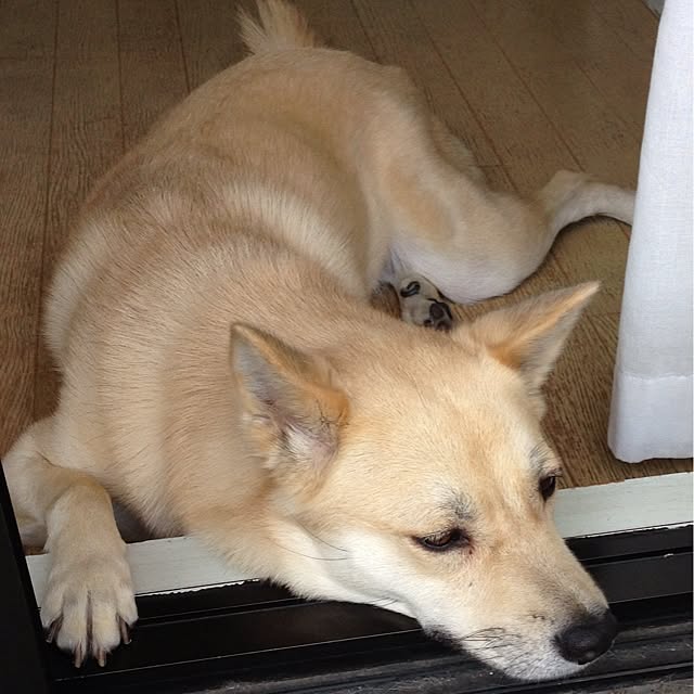 leonaさんの実例写真