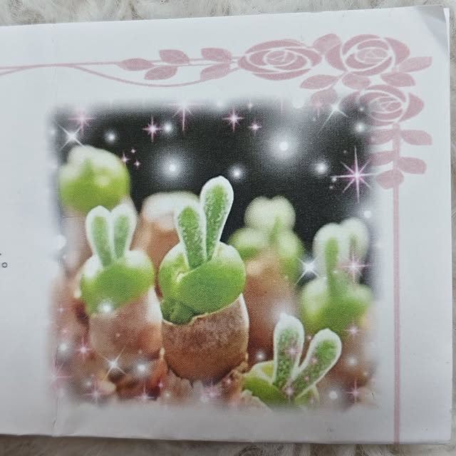 mariaさんの部屋