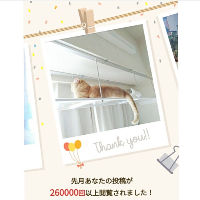 heart.emiemi57.whiteさんの実例写真
