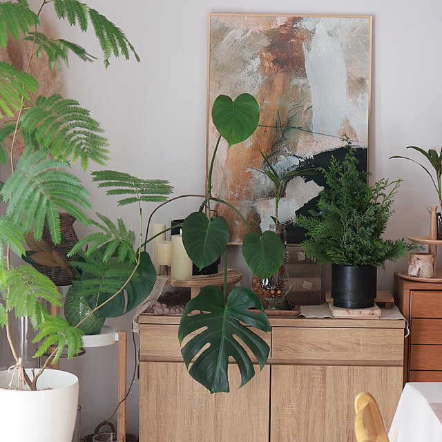 Summerさんの部屋