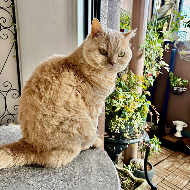 naokoさんの部屋