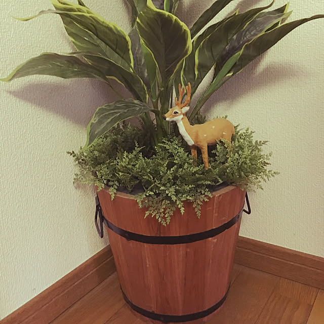 maikoさんの実例写真