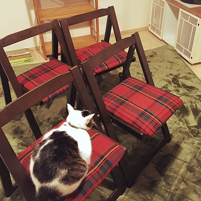 amandaさんの実例写真