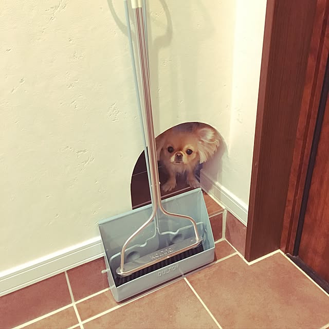 popoさんの実例写真