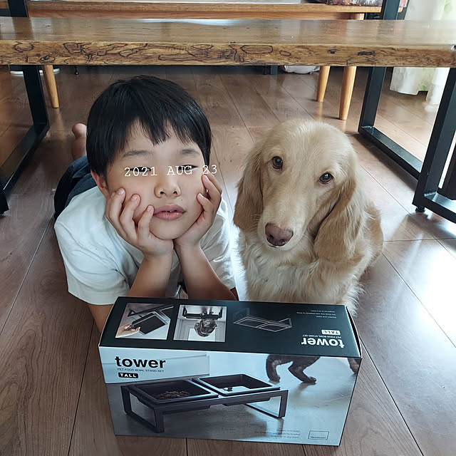 実例写真