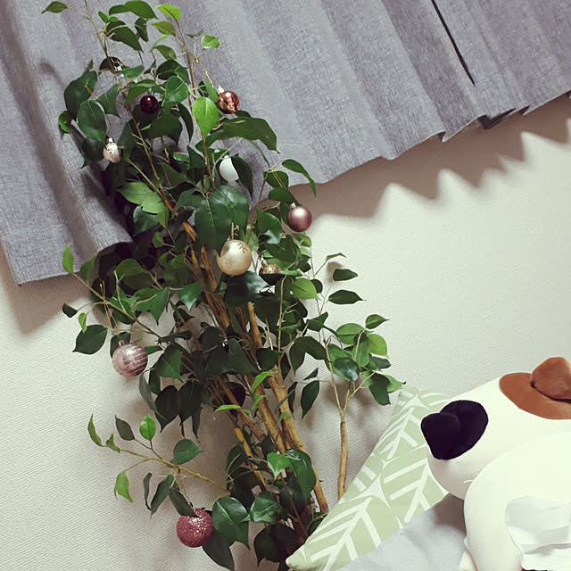Ayさんの実例写真
