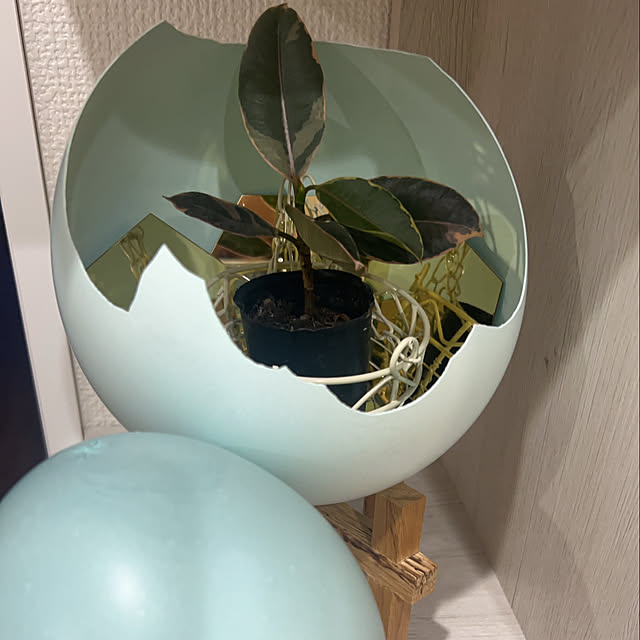 rentomaki0823さんの部屋
