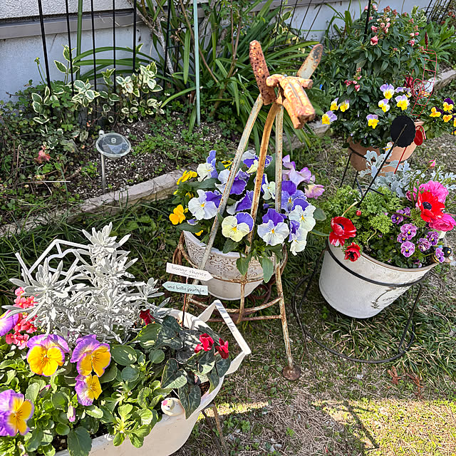 portulacaさんの実例写真