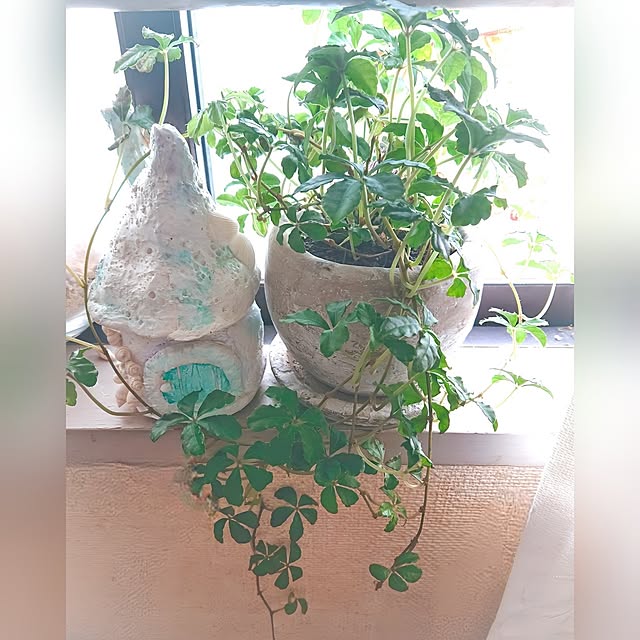 kyooonさんの部屋