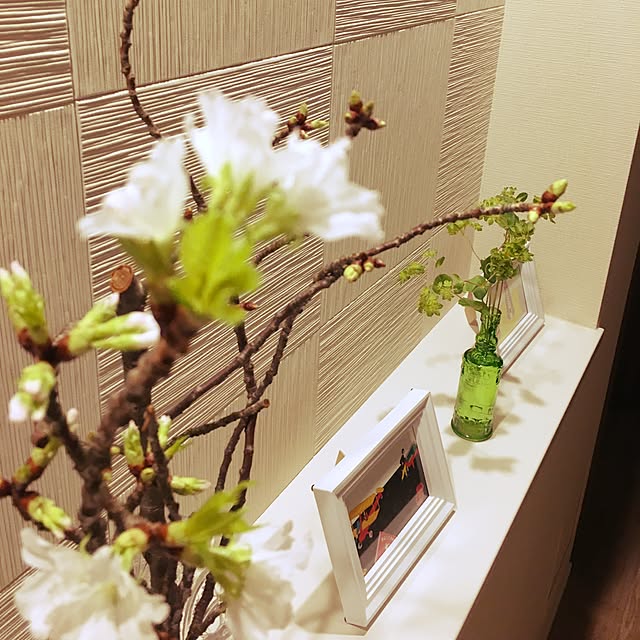 rinさんの実例写真