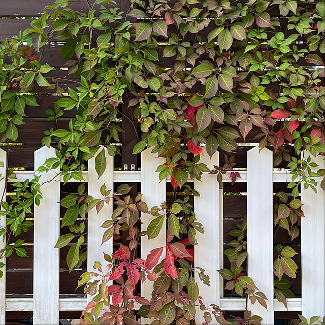 nobikoさんの実例写真