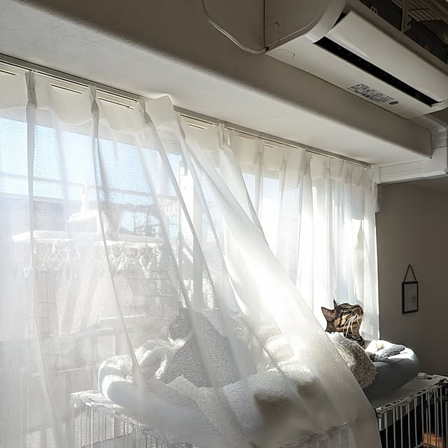 hihaさんの部屋