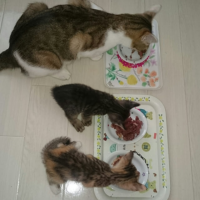 gurikoさんの実例写真