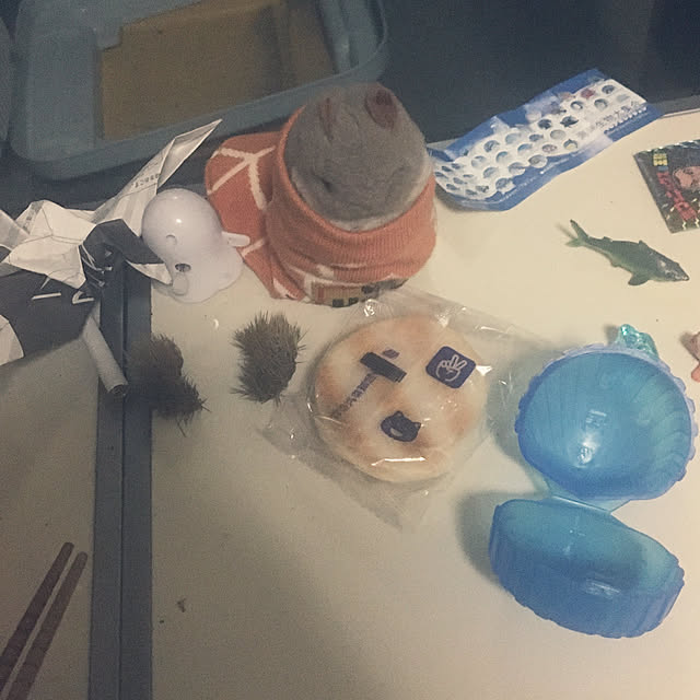 Kenji_AOYAGIさんの実例写真