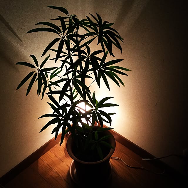 TAKUさんの実例写真