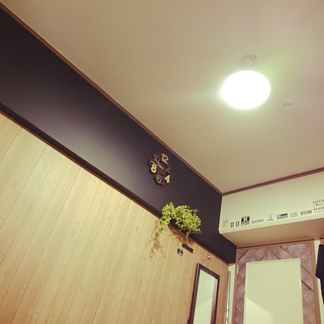 usagiさんの実例写真