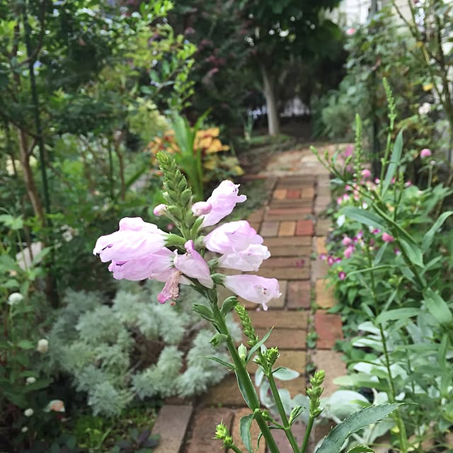 happygardenさんの実例写真