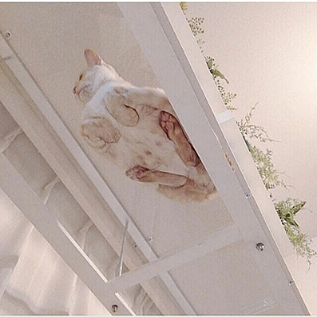 heart.emiemi57.whiteさんの実例写真